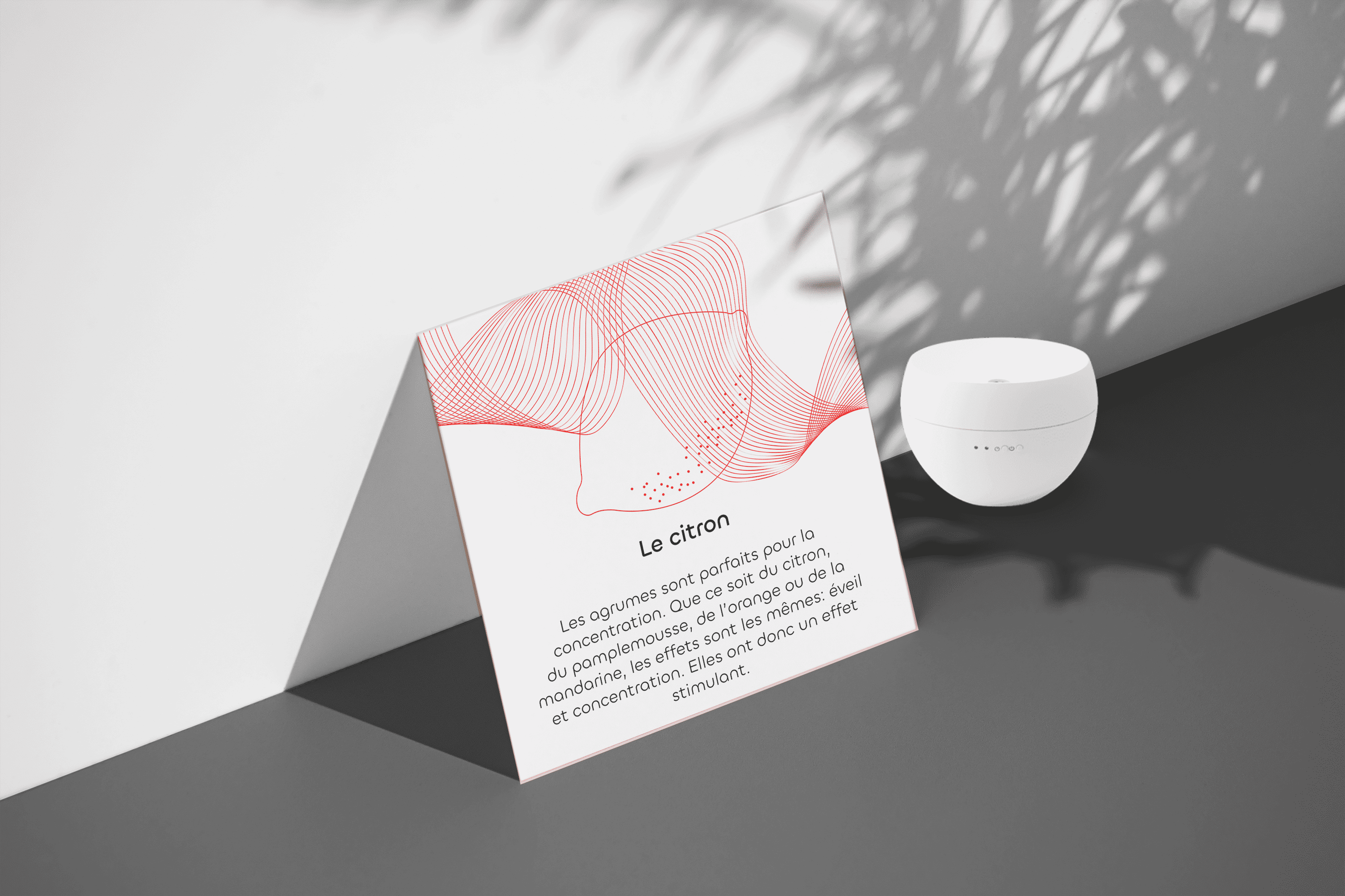 Mockup 5